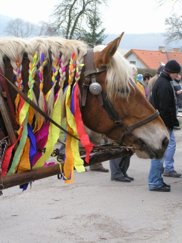 Foto z proběhlých akcí